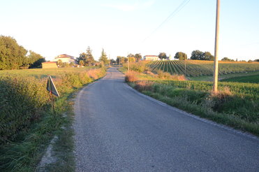 Route dans la commune